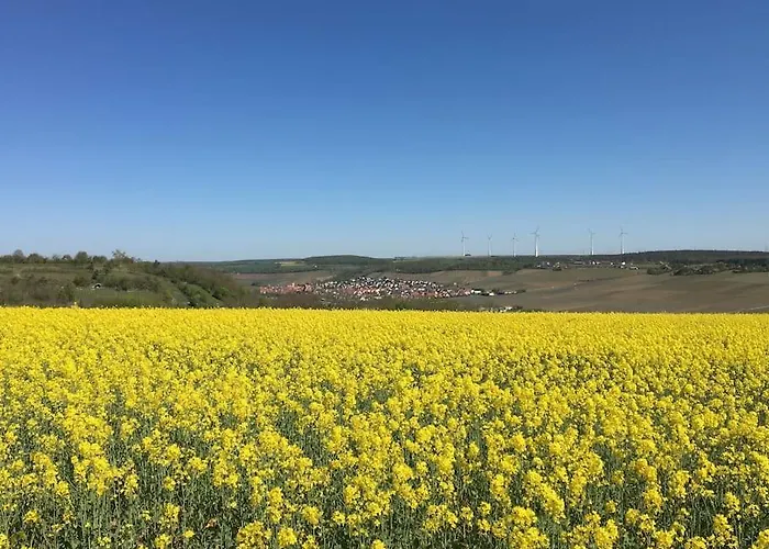 Weinbergsblick Optimale Stadtnaehe * Ochsenfurt