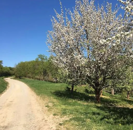 Weinbergsblick Optimale Stadtnaehe Ochsenfurt
