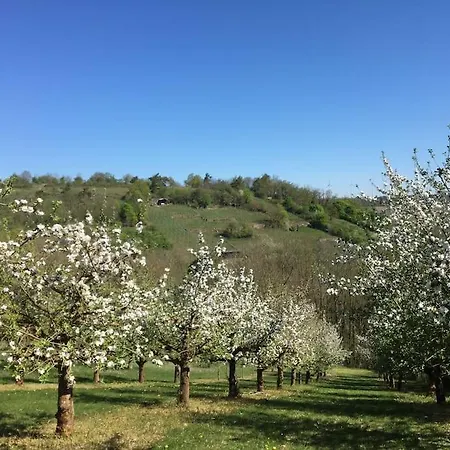Weinbergsblick Optimale Stadtnaehe أوكسنفورت