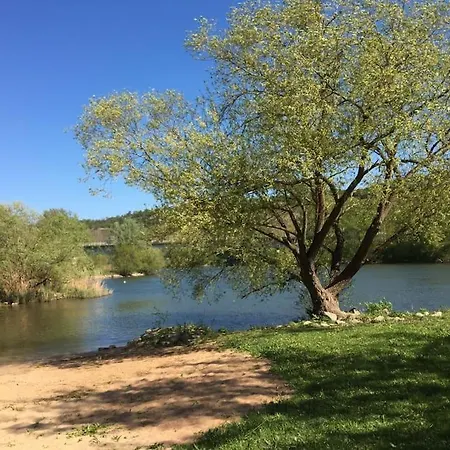 Weinbergsblick Optimale Stadtnaehe شقة