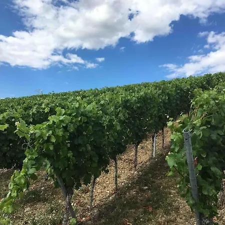 Weinbergsblick Optimale Stadtnaehe أوكسنفورت