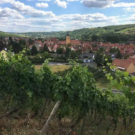Weinbergsblick Optimale Stadtnaehe شقة
