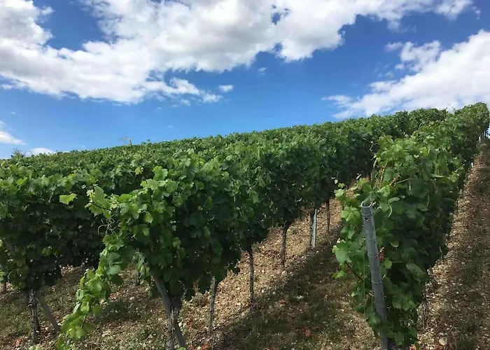 Weinbergsblick Optimale Stadtnaehe Ochsenfurt
